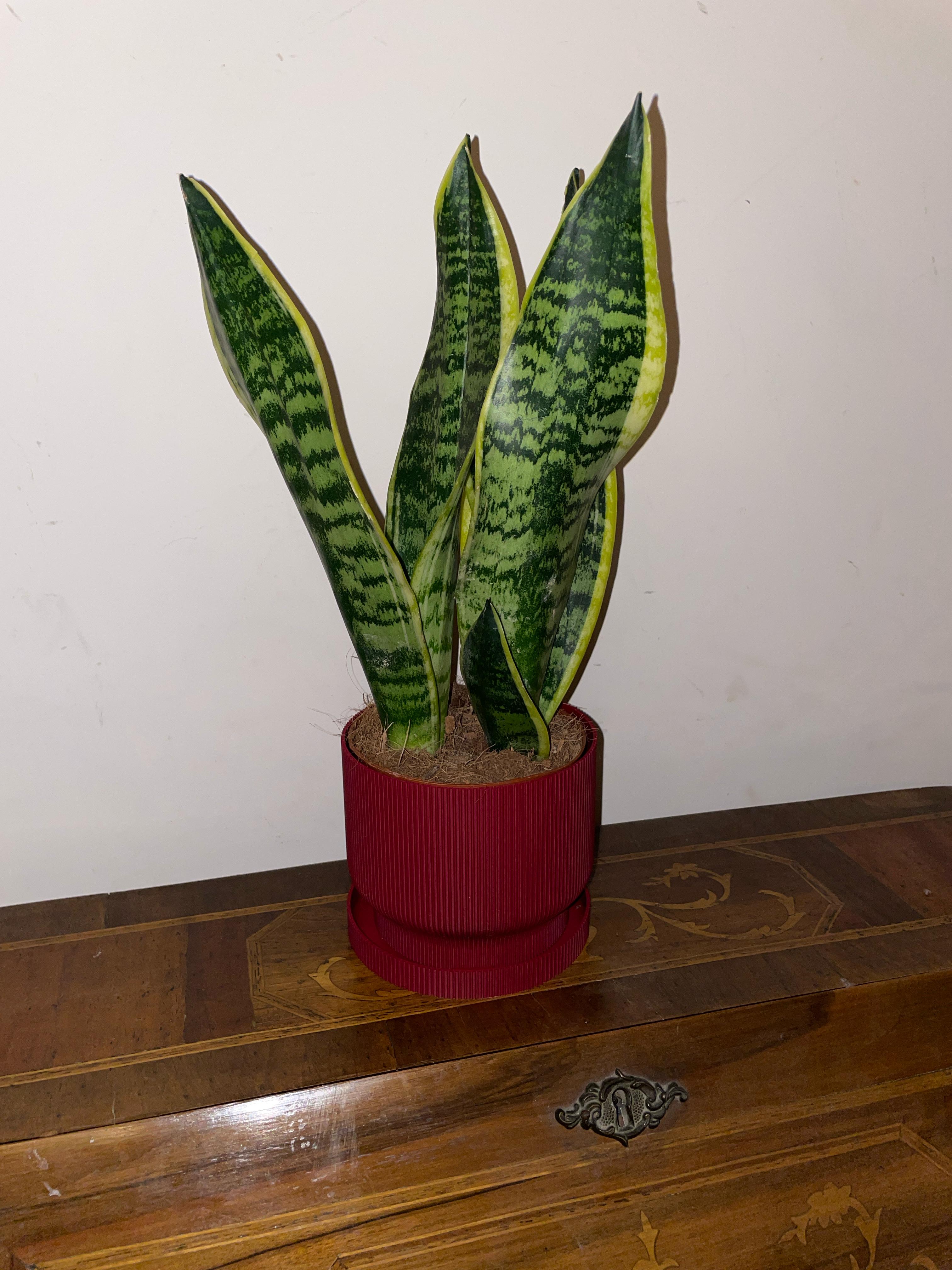 Foto 51