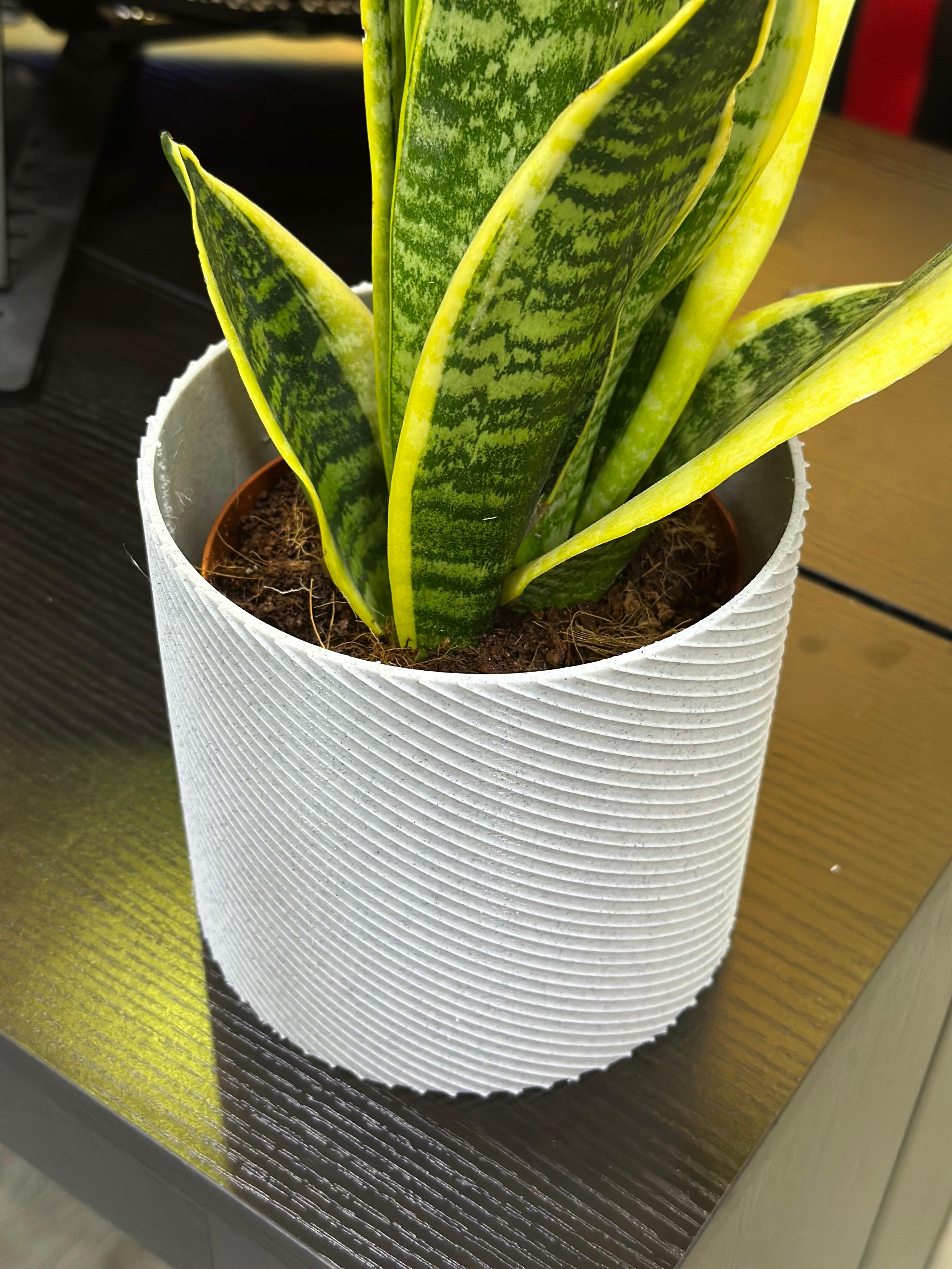 Vaso spirale ASA 3D con piantina